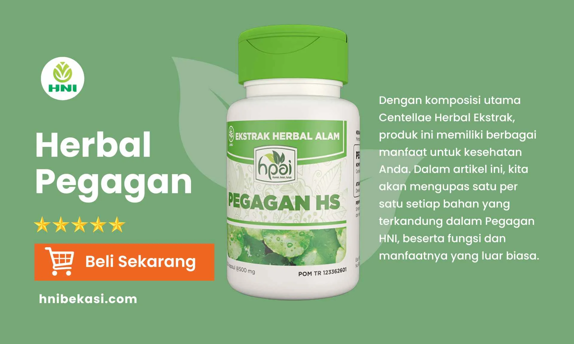 hni pegagan