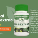 manfaat diabextrac hni bekasi