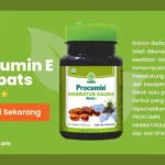 manfaat procumin habbats e hni bekasi