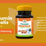 manfaat procumin propolis HNI bekasi