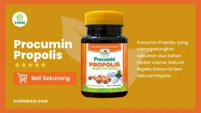 manfaat procumin propolis HNI bekasi