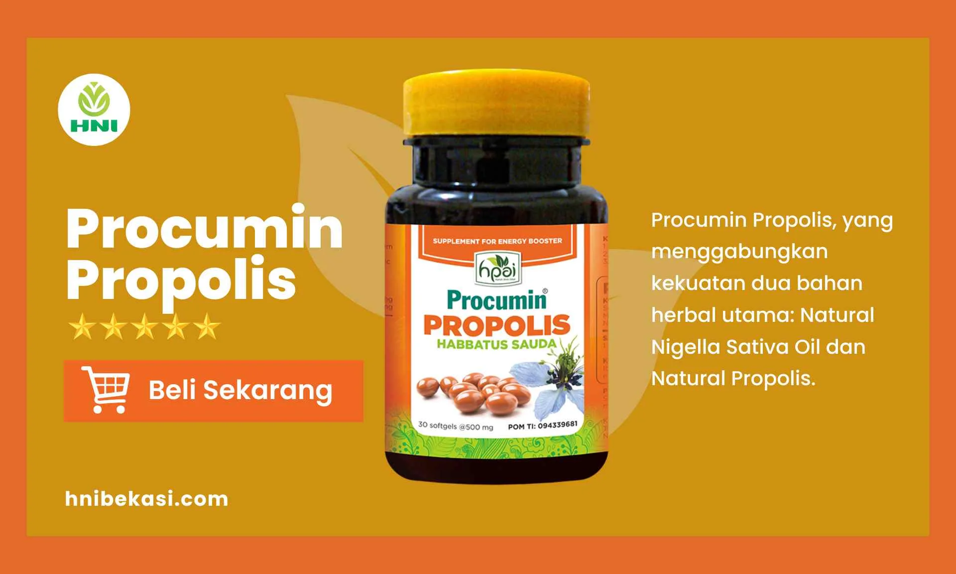 manfaat procumin propolis HNI bekasi