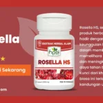 manfaat rosella hs hni