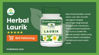 Manfaat dan Kandungan LAurik HNI