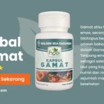 manfaat gamat kapsul