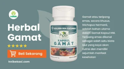 manfaat gamat kapsul