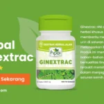 manfaat ginextrac hni
