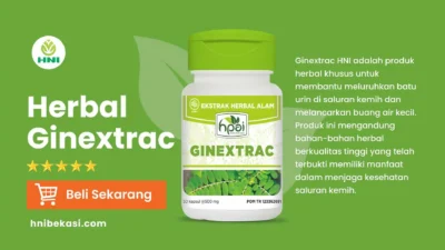 manfaat ginextrac hni