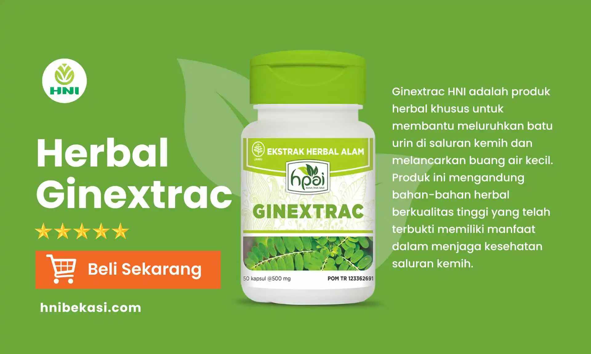 manfaat ginextrac hni