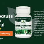 habbatussauda kapsul hni