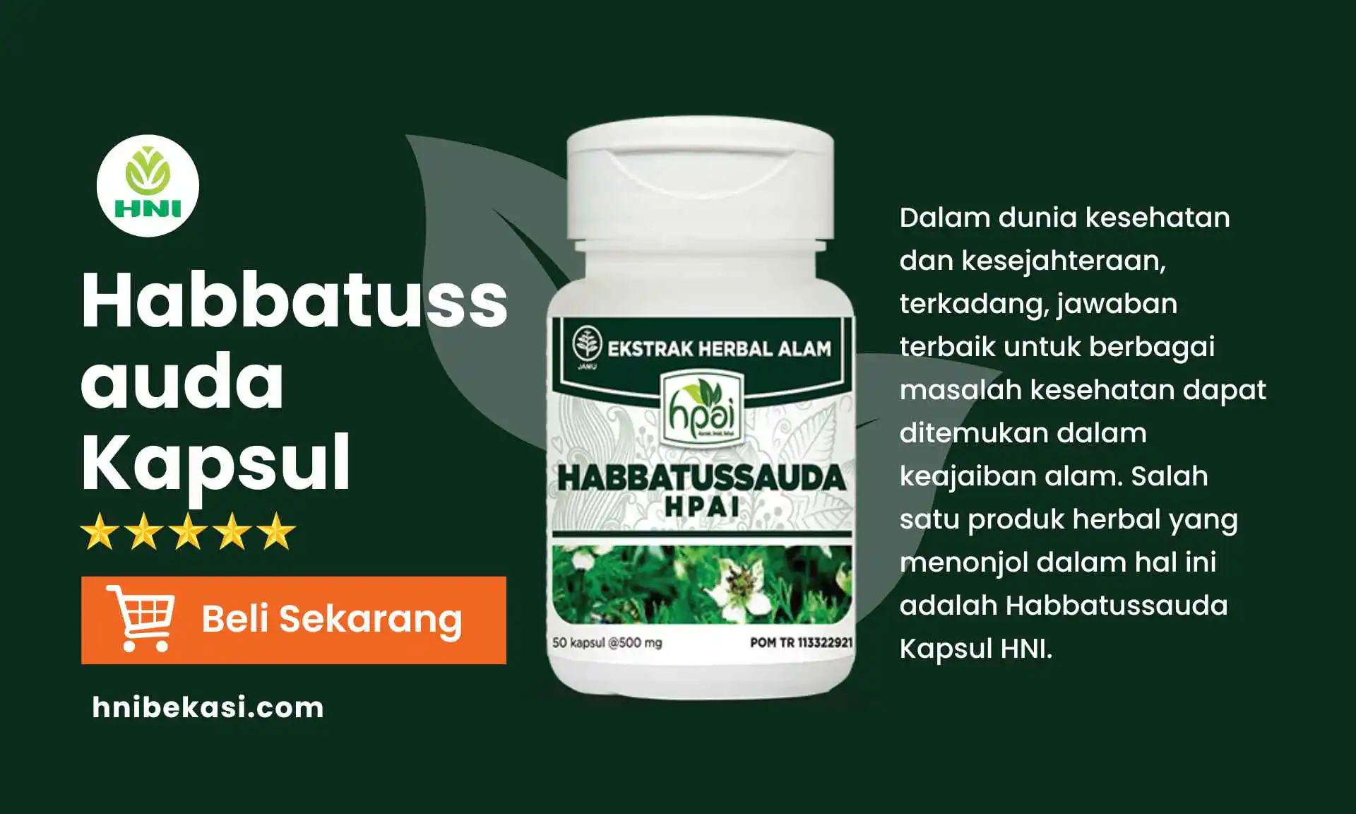 habbatussauda kapsul hni