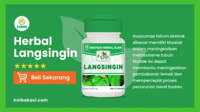 manfaat dan kandungan herbal langsingin hni